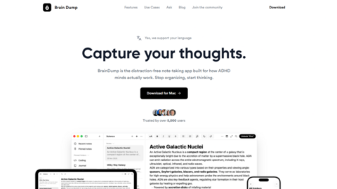 Brain Dump: ADHD Notes